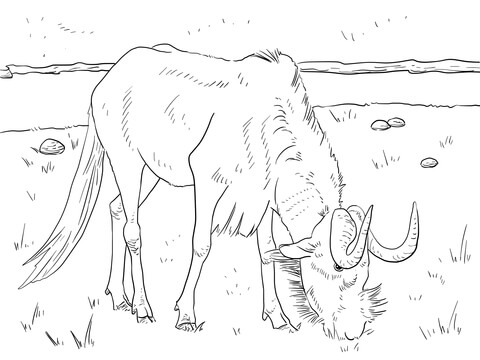 Realistic Black Wildebeest Coloring Page